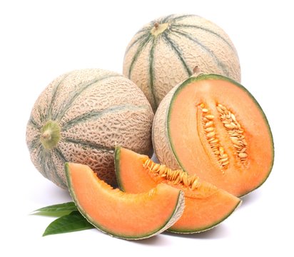 Cantaloupe melones