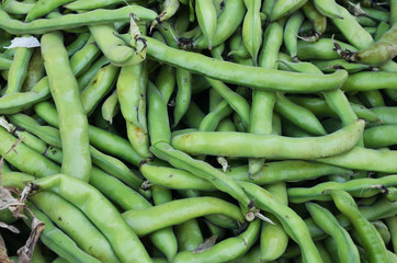 close up of green beans
