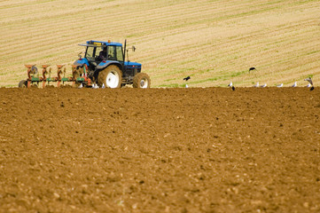 Farmer ploughing field for next crop.