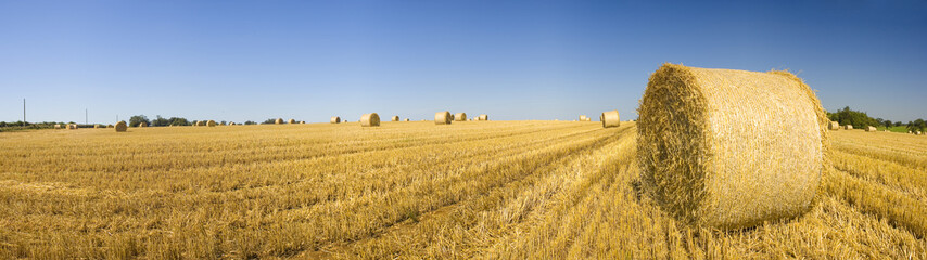 Hay bales, Idyllic rural landscape. © travelwitness