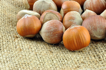 Hazel nuts