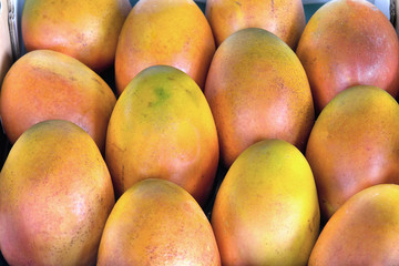 Grove Grown Mangoes Closeup