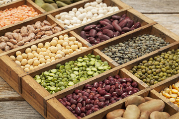 legume abstract
