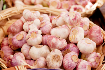 Weißer und rosa Knoblauch Garlic in einem Korb
