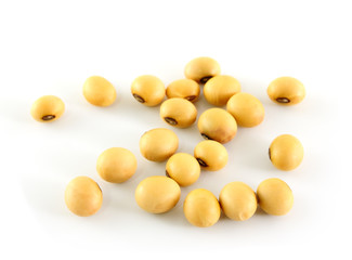 Fototapeta premium the soya beans
