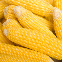 Yellow raw corn