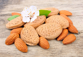 Almonds with flowers close up