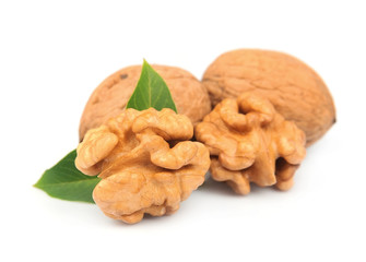 walnuts with leafs