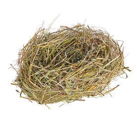 single nest from grass isolated on white