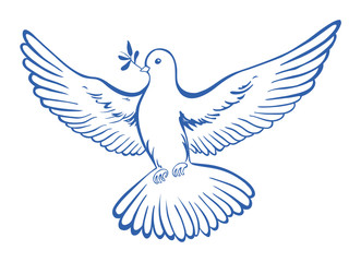 pigeon,dove