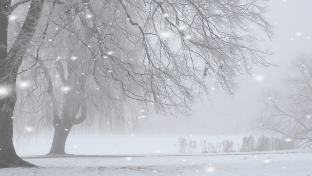 Winter snow storm