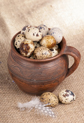 Quail eggs in a jug, a feather on a canvas