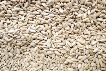 dried peeled sunflower seed for background uses
