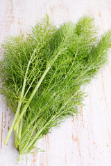 bunch of fresh fennel
