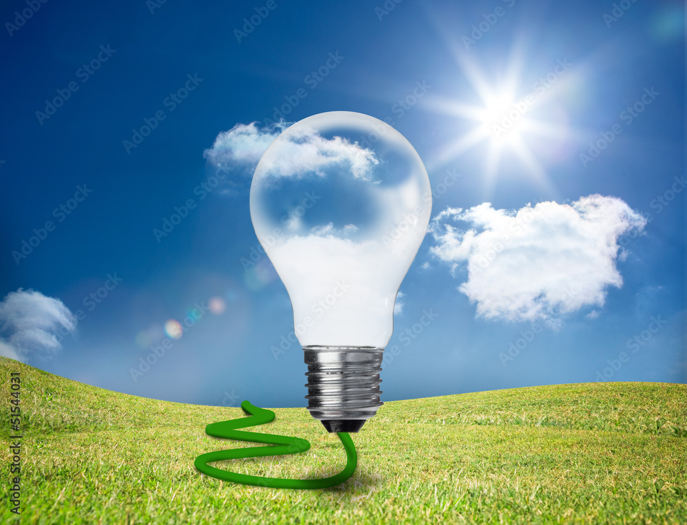 Poster Transparent light bulb floating in a field