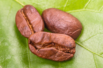 Three coffee beans