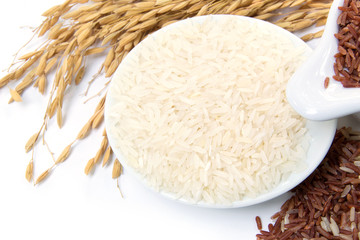 paddy rice,brown rice,white rice