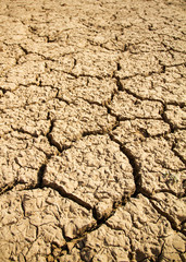 Dry cracked earth background