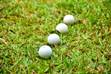 Golf ball on the green grass