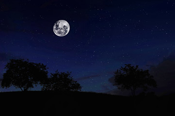Fototapeta na wymiar Full Moon on the Forest