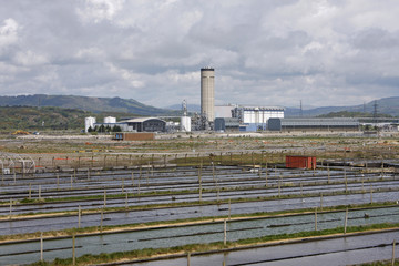 Worm farm and factory, Aberavon