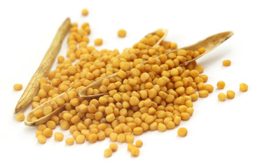 Fresh golden mustard