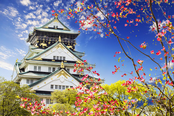 Fototapeta premium Zamek w Osace do celów reklamowych lub innych
