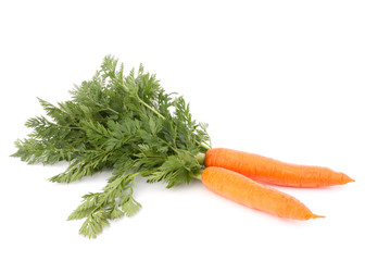 Carrot vegetable with leaves