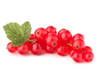 Red currants and green leaves still life