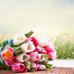 Tulpen vor Frühlingshintergrund