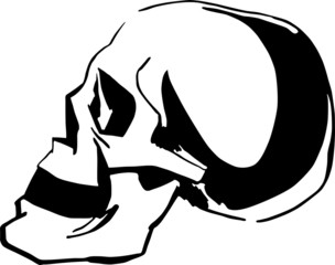 Black and white sketch of skull