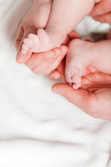 Closeup of baby feet with hands of parents. Studio shot.