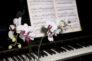 pianoforte con fiore