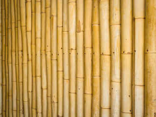 Bamboo wall background