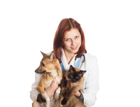 lovely young woman veterinarian holding a red puppy and Siamese