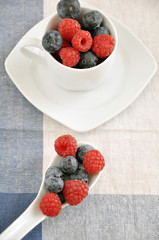 Heidelbeeren und Himbeeren