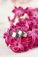 Wedding rings on red hyacinth