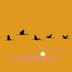 crane pack and sunset