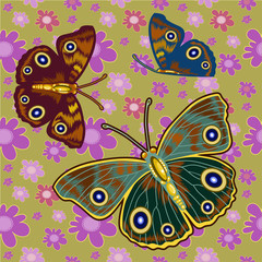 colorful butterflies