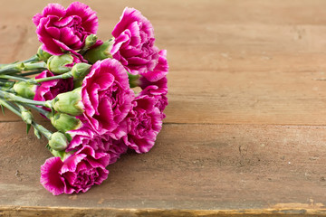 Fresh carnations  on wooden background