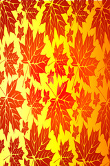 Autumn maple background