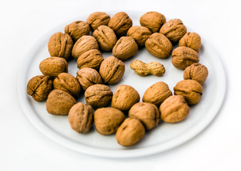 The Intruder. Peanut and Walnuts