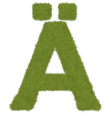 Buchstabe Ä mit Gras Textur