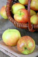 Äpfel