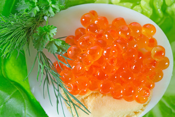 Kaviar rot auf Ei und Salat mit Kräutern