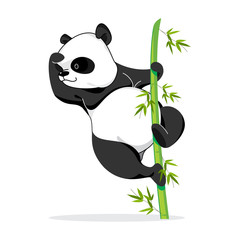 Climbing Panda