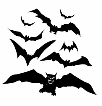 bats illustration