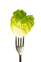 Ein einzelnes Salatblatt auf einer Silbergabel