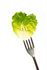 Salatblatt auf einer Gabel