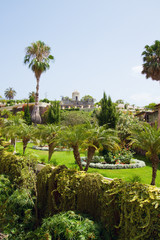 Fototapeta na wymiar botanical garden in La Orotava, Tenerife